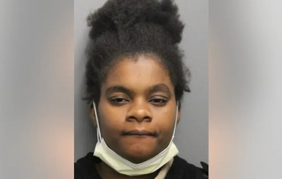 Chicago Woman Charged in Armed Carjacking That Left Man Wounded in Washington Park