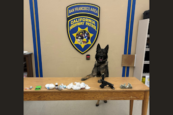 CHP Canine Sully Sniffs Out Massive Fentanyl Haul in San Francisco Traffic Stop