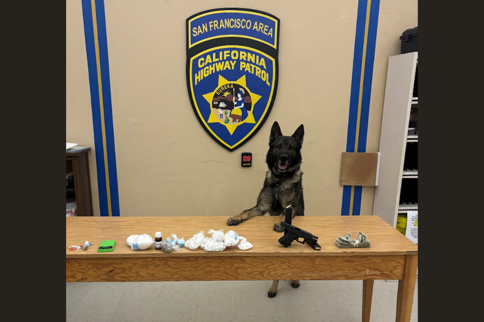 CHP Canine Sully Sniffs Out Massive Fentanyl Haul in San Francisco Traffic Stop