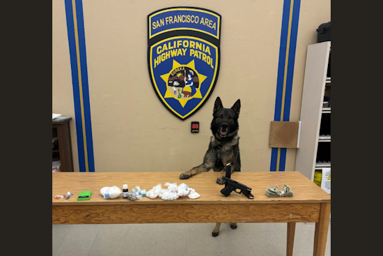 CHP Canine Sully Sniffs Out Massive Fentanyl Haul in San Francisco Traffic Stop