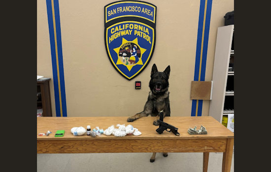 CHP Canine Sully Sniffs Out Massive Fentanyl Haul in San Francisco Traffic Stop