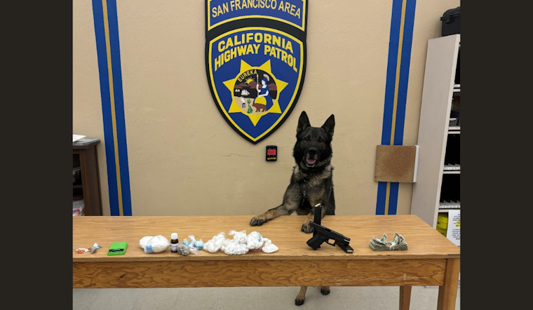CHP Canine Sully Sniffs Out Massive Fentanyl Haul in San Francisco Traffic Stop