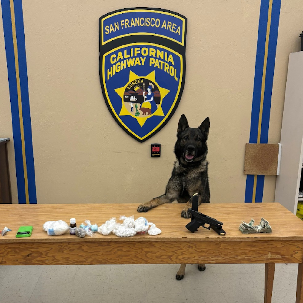 CHP Canine Sully Sniffs Out Massive Fentanyl Haul in San Francisco Traffic Stop