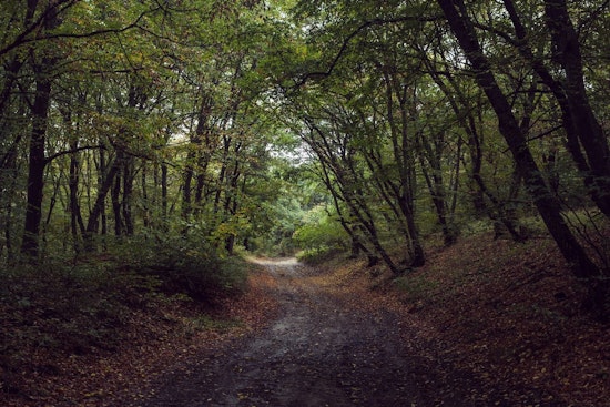 Cleary Lake Regional Park Hosts Mindfulness Hike this June
