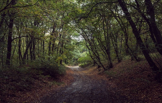 Cleary Lake Regional Park Hosts Mindfulness Hike this June