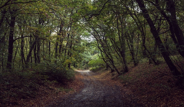 Cleary Lake Regional Park Hosts Mindfulness Hike this June