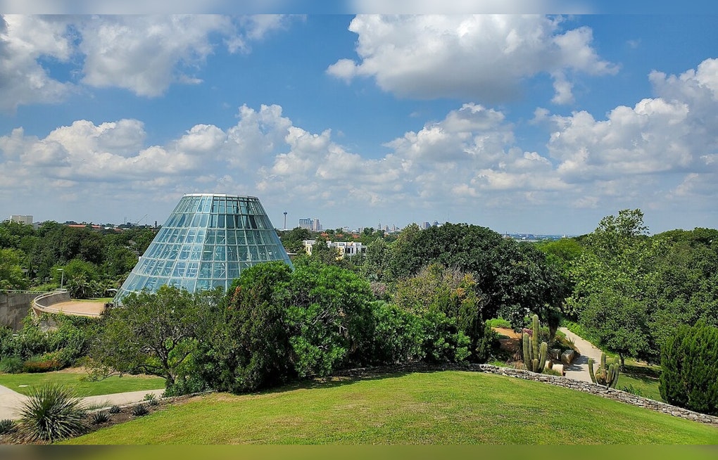 Colossal 'Huntopia' Sculptures Hop Into San Antonio Botanical Garden for Whimsical Art Exhibit