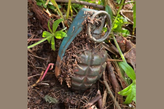 Columbia Township Man Digs Up Live Grenade While Gardening, Bomb Squad Safely Detonates Device