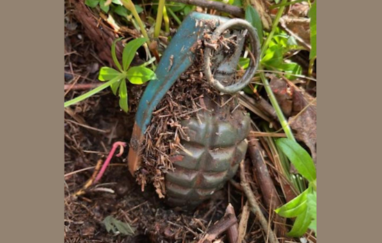 Columbia Township Man Digs Up Live Grenade While Gardening, Bomb Squad Safely Detonates Device