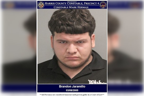 Constable Canine "Lanzo" Takes Down Suspect After Vehicle Chase on Tomball Parkway