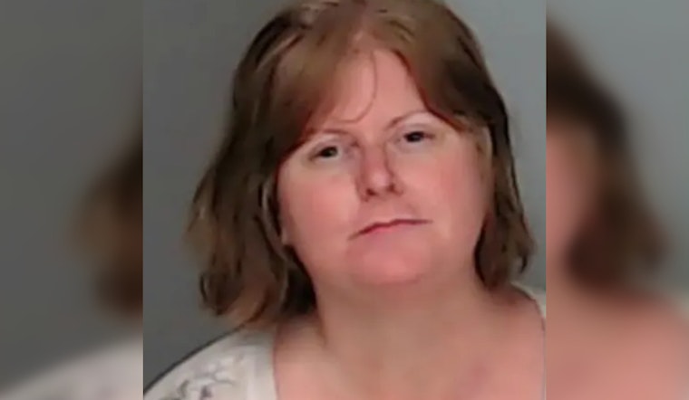 Decatur Case Tests Insanity Defense Limits in Tragic Vehicular Homicide Trial
