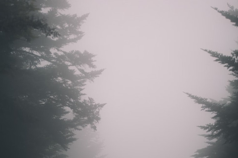 Dense Fog Advisory in Effect for Knoxville and Southeast as Visibility Drops