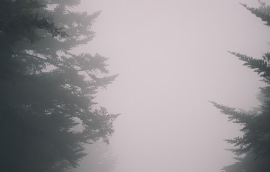 Dense Fog Advisory in Effect for Knoxville and Southeast as Visibility Drops