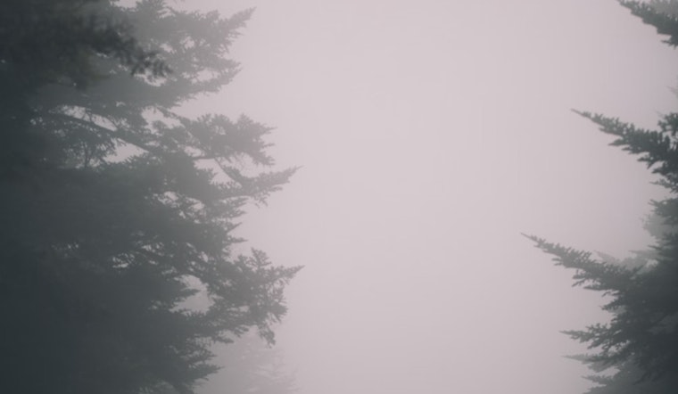 Dense Fog Advisory in Effect for Knoxville and Southeast as Visibility Drops