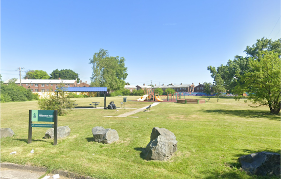 Detroit Park Shooting Leaves Four Wounded Including Two Children and Pregnant Teen, Suspects at Large