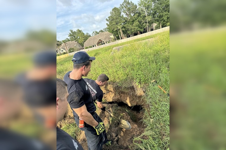 Dog and Cat Self-Rescue from Unexpected Sinkhole in The Woodlands, Houston