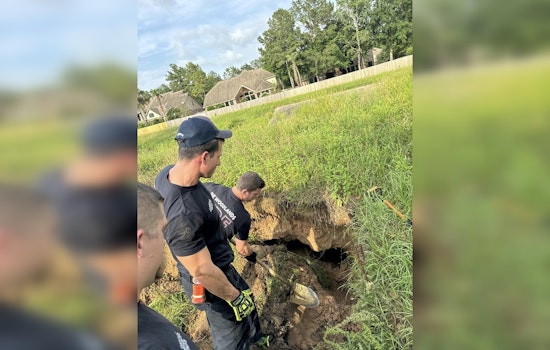 Dog and Cat Self-Rescue from Unexpected Sinkhole in The Woodlands, Houston