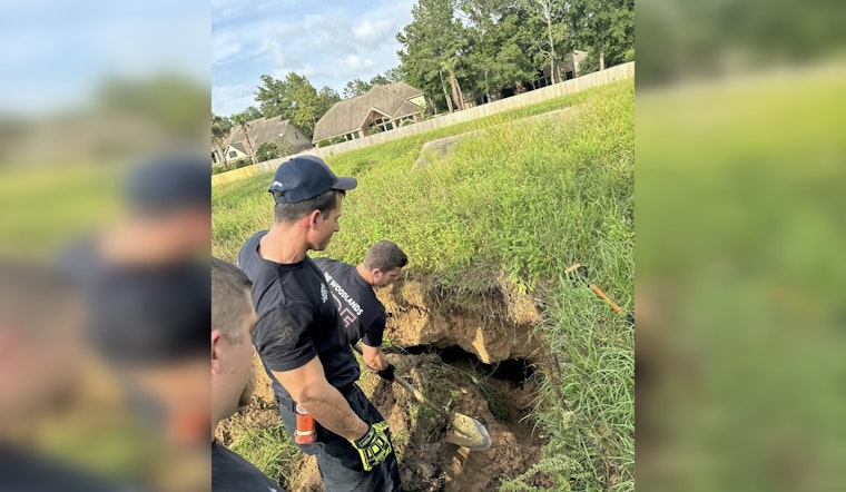 Dog and Cat Self-Rescue from Unexpected Sinkhole in The Woodlands, Houston
