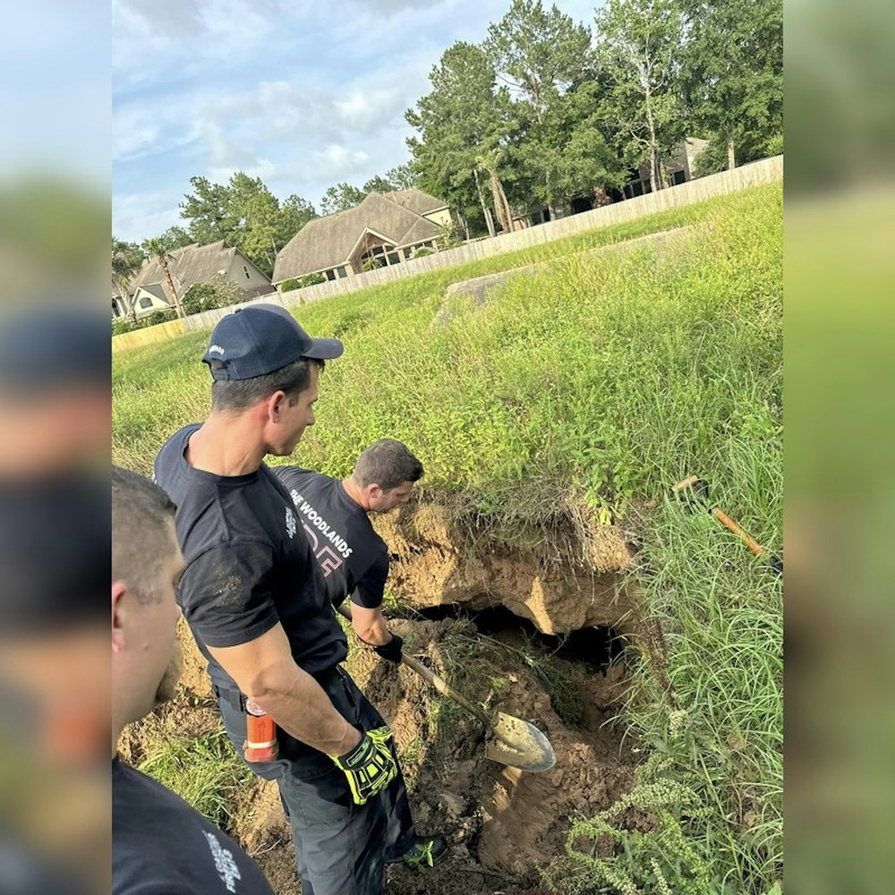Dog and Cat Self-Rescue from Unexpected Sinkhole in The Woodlands, Houston