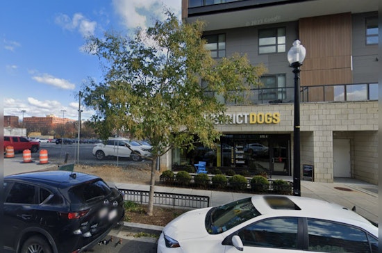 Dog Daycare Accused of Negligence After Eight Pets Perish in Floodwaters