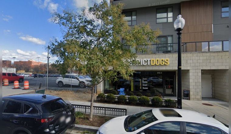 Dog Daycare Accused of Negligence After Eight Pets Perish in Floodwaters