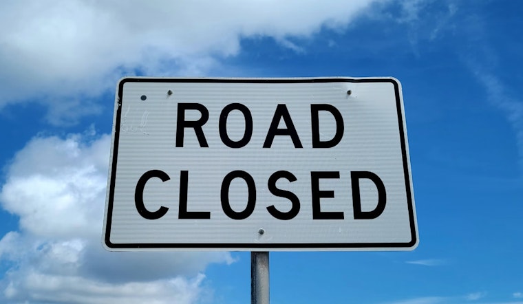 Downed Tree Disrupts Traffic on Pleasant Valley Road in Hepburn Township, Leading to Road Closure Alert