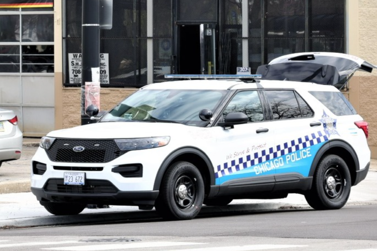 Driver Hits Two Chicago Police Cars in Midnight Escape Attempt in Back