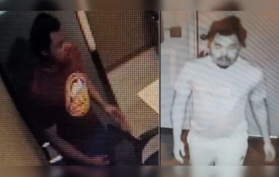 Duluth Chiropractic Office Burglarized, Gwinnett County Police Seek Suspect in $800 Theft