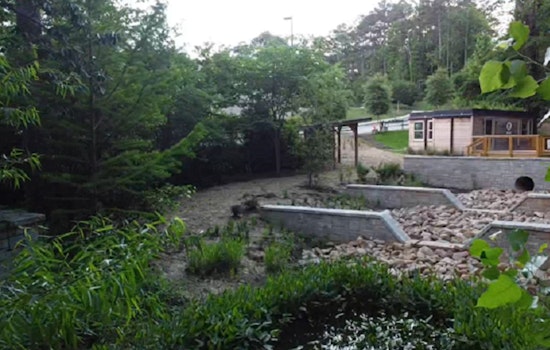 Dunwoody Invests $700,000 in Stormwater Infrastructure to Protect Nature Center’s Eco Classroom