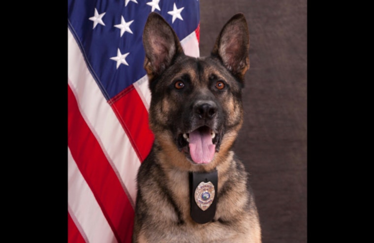Eden Prairie K-9 Veteran Riggs Remembered for Dedication and Impact on Community