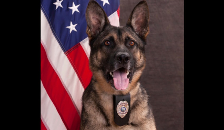 Eden Prairie K-9 Veteran Riggs Remembered for Dedication and Impact on Community