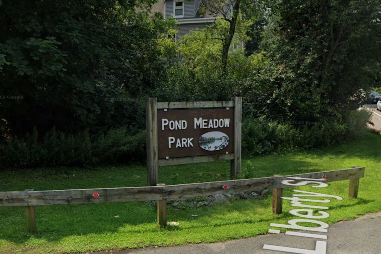 Elderly Weymouth Woman Found Dead in Braintree Park Pond, No Foul Play Suspected