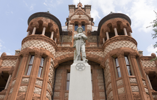 Ellis County Announces Early Voting Schedule for June Joint Runoff Elections