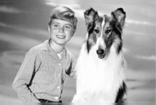 Eric Houston Unleashes "Hollywood Goes to the Dogs" Film Clip Presentation in Blaine