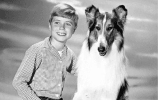 Eric Houston Unleashes "Hollywood Goes to the Dogs" Film Clip Presentation in Blaine