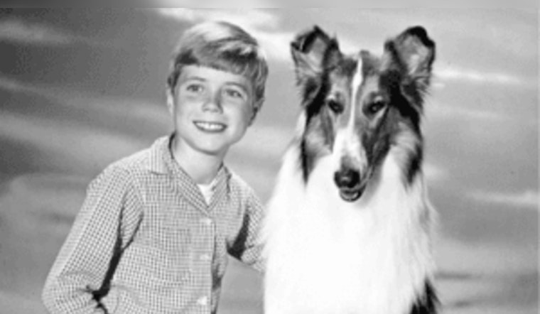 Eric Houston Unleashes "Hollywood Goes to the Dogs" Film Clip Presentation in Blaine