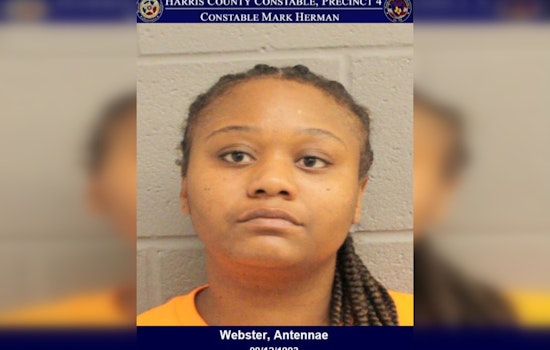 Ex-Employee Charged with Criminal Mischief for Vandalism at Houston Business
