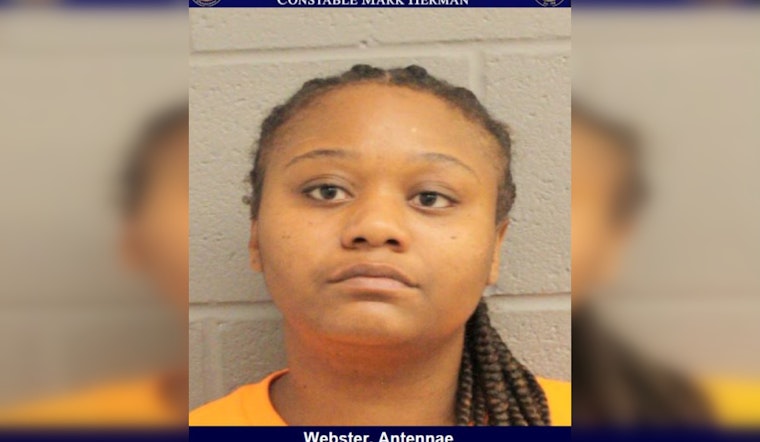 Ex-Employee Charged with Criminal Mischief for Vandalism at Houston Business