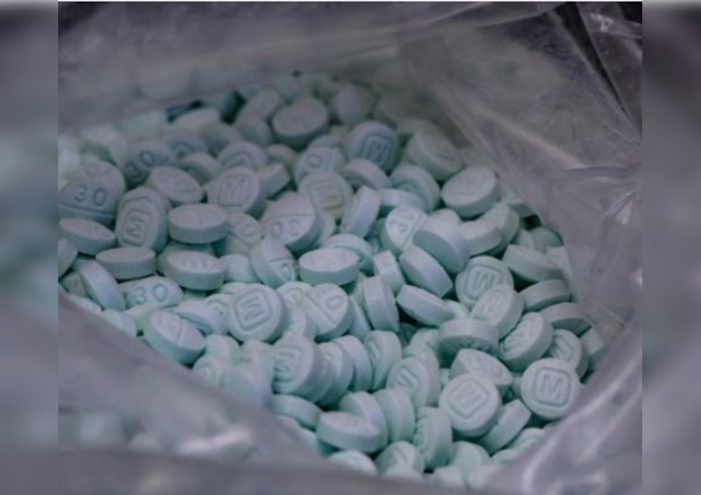 Fentanyl Bust Fever, Seattle Strike Seizes 16 Kilos, 60K Pills in Major Trafficking Takedown