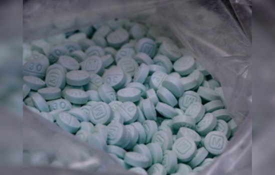 Fentanyl Bust Fever, Seattle Strike Seizes 16 Kilos, 60K Pills in Major Trafficking Takedown