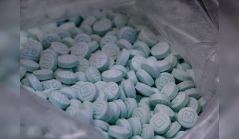 Fentanyl Bust Fever, Seattle Strike Seizes 16 Kilos, 60K Pills in Major Trafficking Takedown
