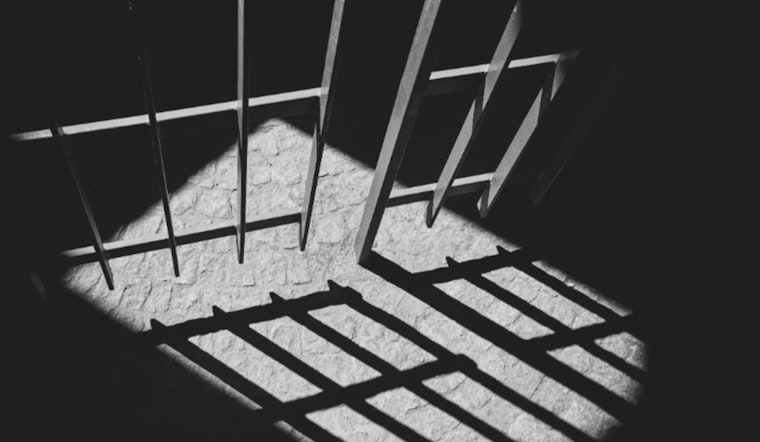 Fort Lauderdale Area Teen Charged With Felony Animal Cruelty in Killing of Stray Cat