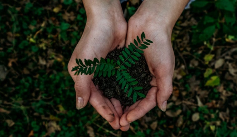 Fort Lauderdale Residents Quickly Claim All Free Trees in City's Canopy Expansion Initiative