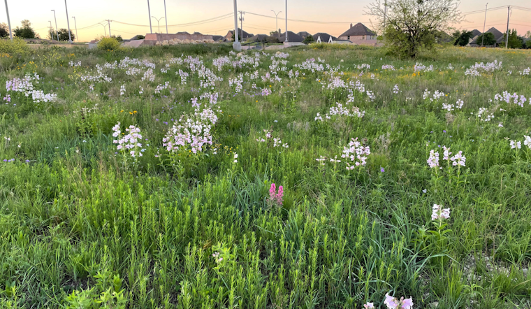 Fort Worth Enhances Ecological Health with Prescribed Burns in Parks and Recreation Areas