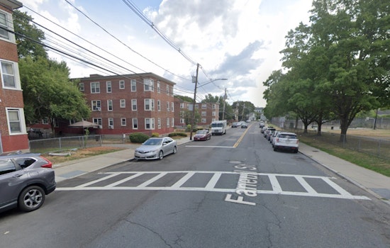 Four Injured in Boston Dog Attack, Quarantined Canine Had History of Aggression