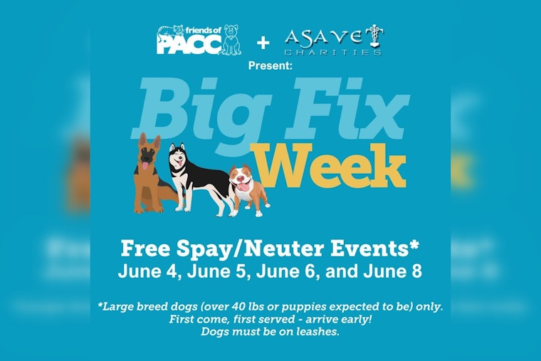 Friends of Pima Animal Care Center Launches "Big Fix" Free Spay/Neuter Event for Large Breed Dogs in Pima County