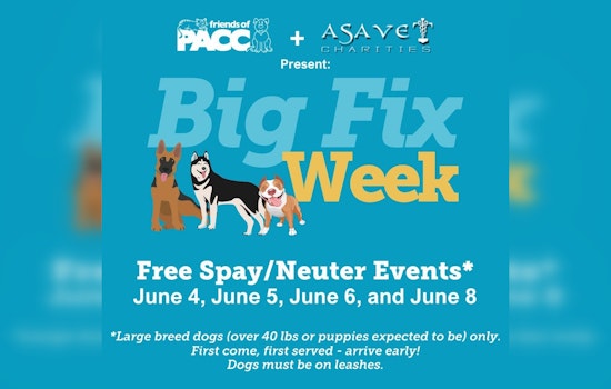 Friends of Pima Animal Care Center Launches "Big Fix" Free Spay/Neuter Event for Large Breed Dogs in Pima County