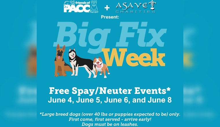 Friends of Pima Animal Care Center Launches "Big Fix" Free Spay/Neuter Event for Large Breed Dogs in Pima County
