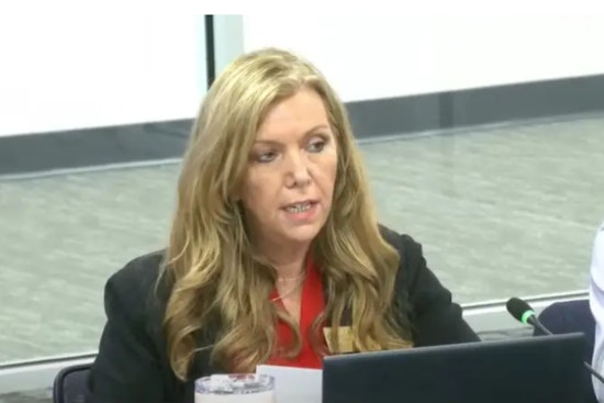 Fulton County GOP Official Julie Adams Sues for Election Material Access amid Primary Dispute
