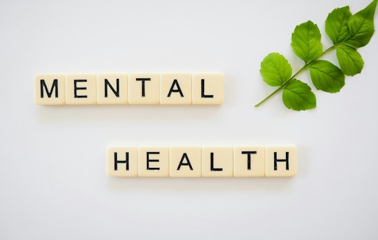 Fulton County Hosts Third Annual Mental Health Court Fair to Improve Service Accessibility